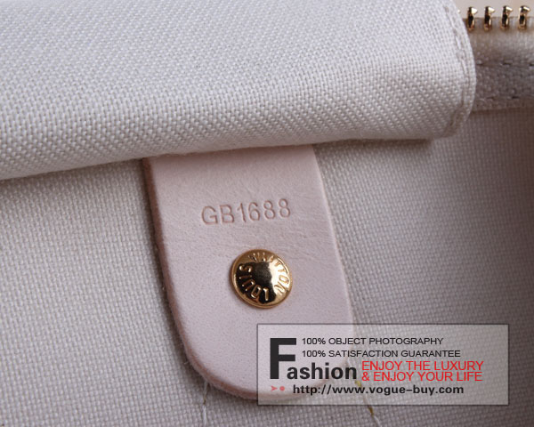 Louis Vuitton replica damier azur speedy 35 N41535